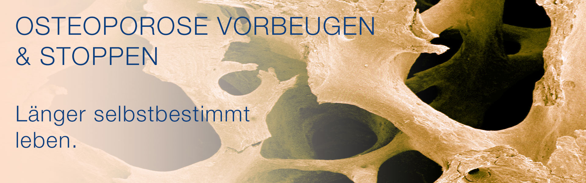 vorteile-slide4_1920x600